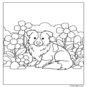 Whimsical Border Collie in Cozy Garden