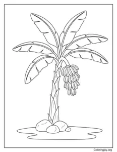Banana Tree Coloring Page