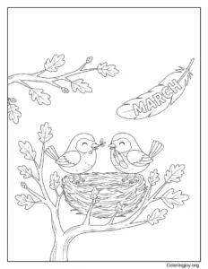 Birds Building New Homes