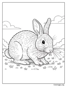 Realistic Desert Cottontail Rabbit