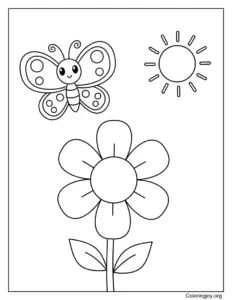 Butterfly and Flower