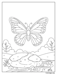 Opens Its Wings Wide in Joy Butterfly