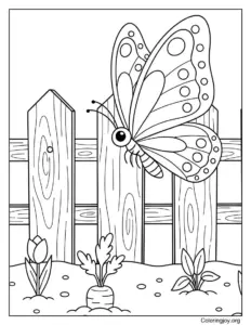 Visits the Garden Awakening Butterfly