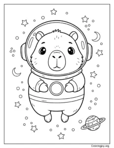 Cosmic Capybara Explorer