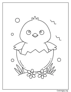 Cute chick hatching from an egg