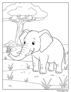 Baby elephant with mom