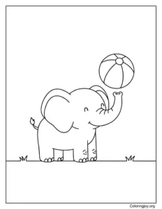 Elephant in the Jungle