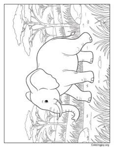 Mandala Elephant Design