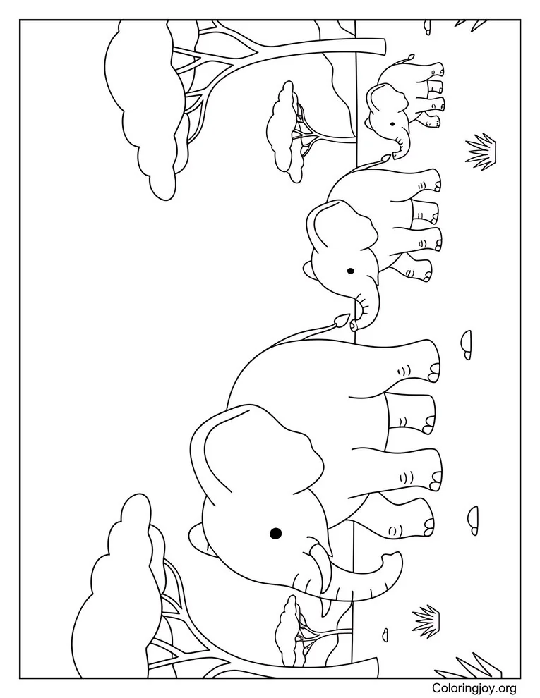 Bebé elefante sentado