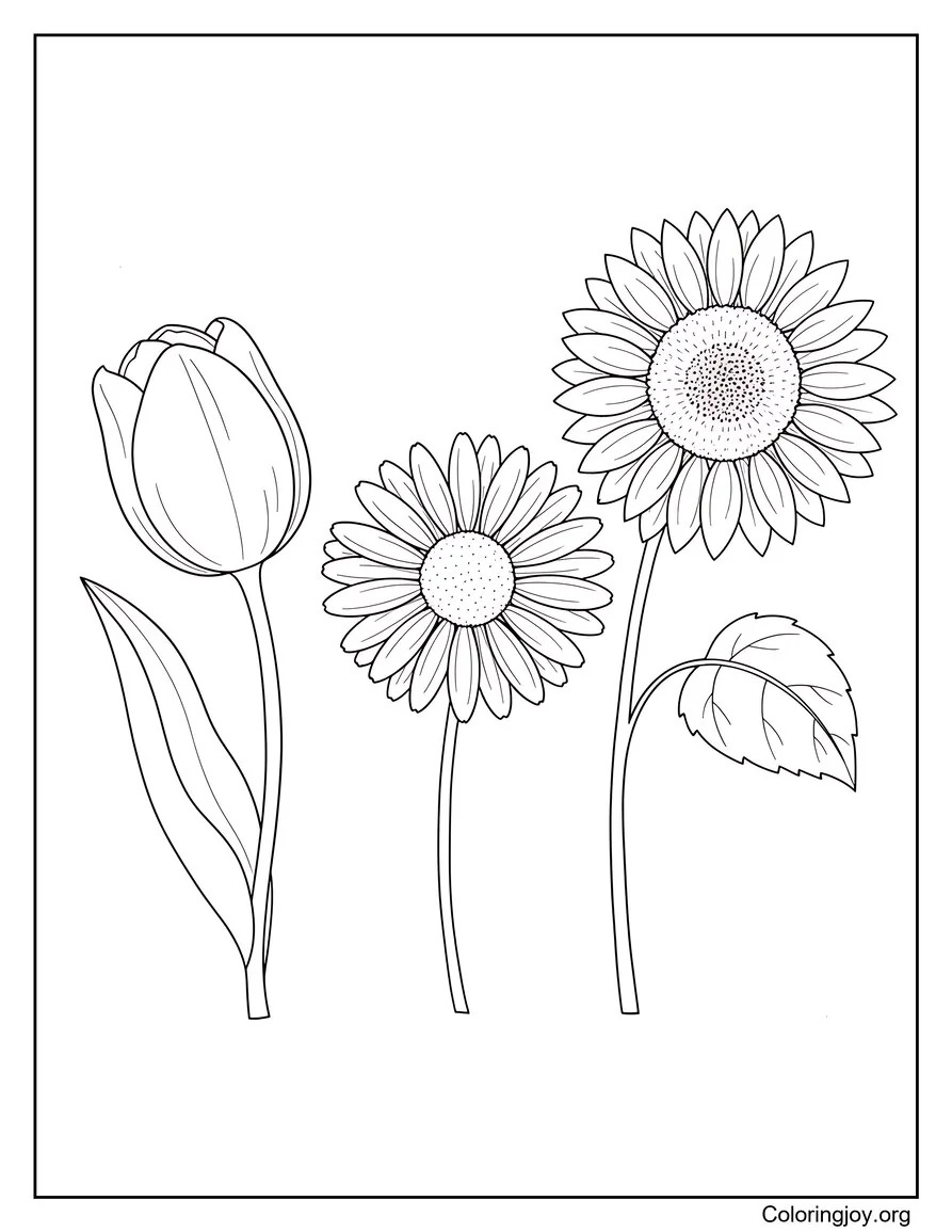 Spring Flower Garden Coloring Page