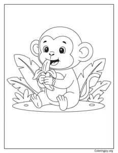 Monkey Eating Banana