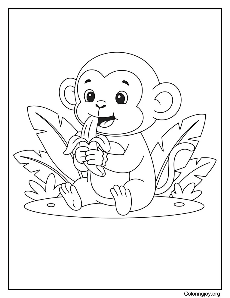 Monkey Eating Banana