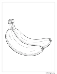 Realistic Banana Coloring Page