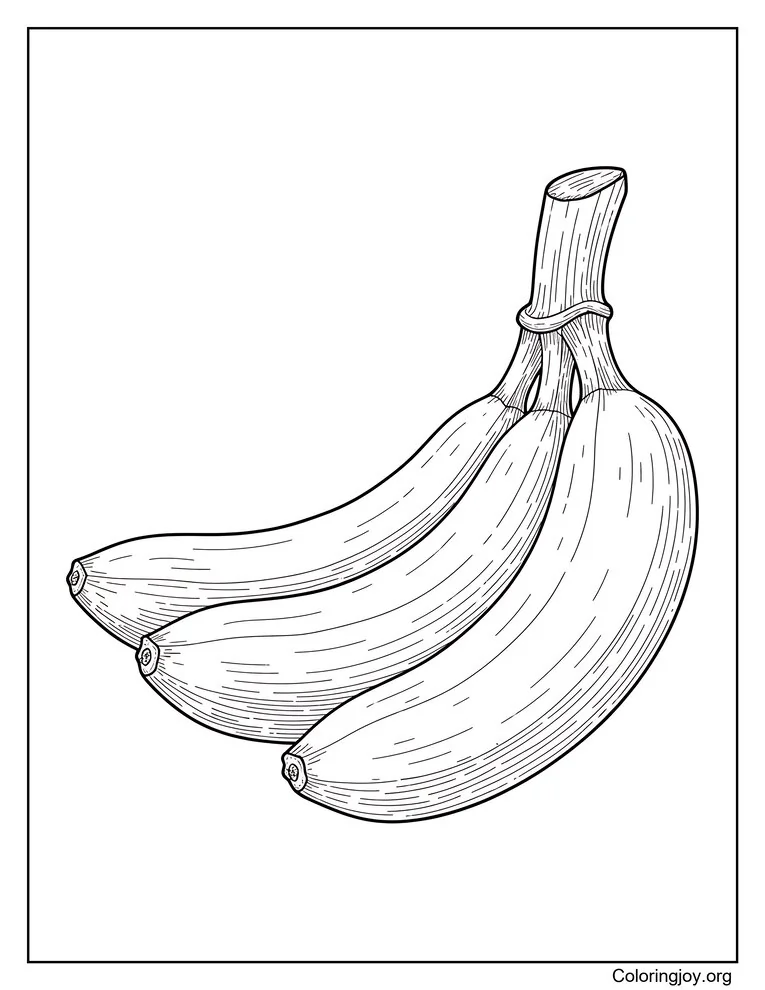 Realistic Banana Bunch