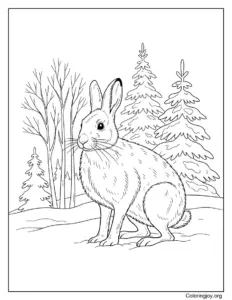 Bunny Eating Grass Close Up