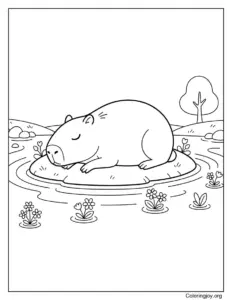 Sleepy Capybara Resting