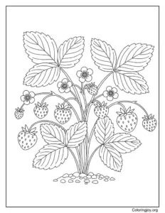 Strawberry Plant Close-Up Realistic