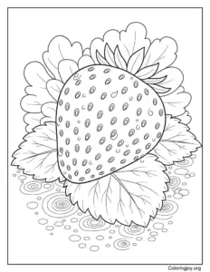 Strawberry Realistic with Water Droplets