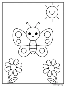 The Simple Baby Butterfly