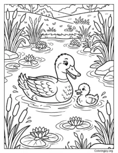 Duck and Duckling Coloring Page