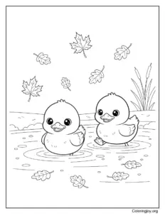 Autumn Leaves And Ducklings