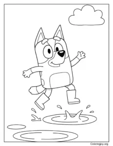 Bluey Jumping In Puddles After Spring Rain