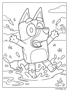 Bluey Splashing Around in Summer Water Fun