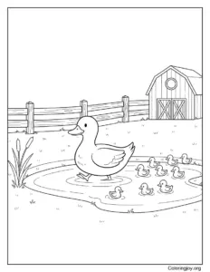 Country Farm With Ducks