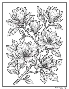 Magnolia Spring Flower Branch Coloring Page