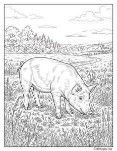 Detailed Realistic Pig Grazing In Meadow