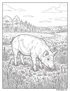 Realistic Pig in Open Field Farm Coloring Page