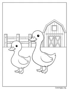 Ducklings Exploring Barnyard