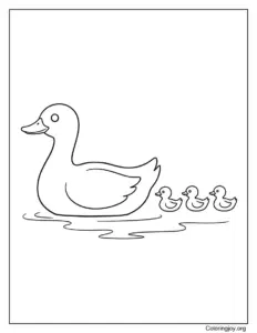 Ducklings Following Mother