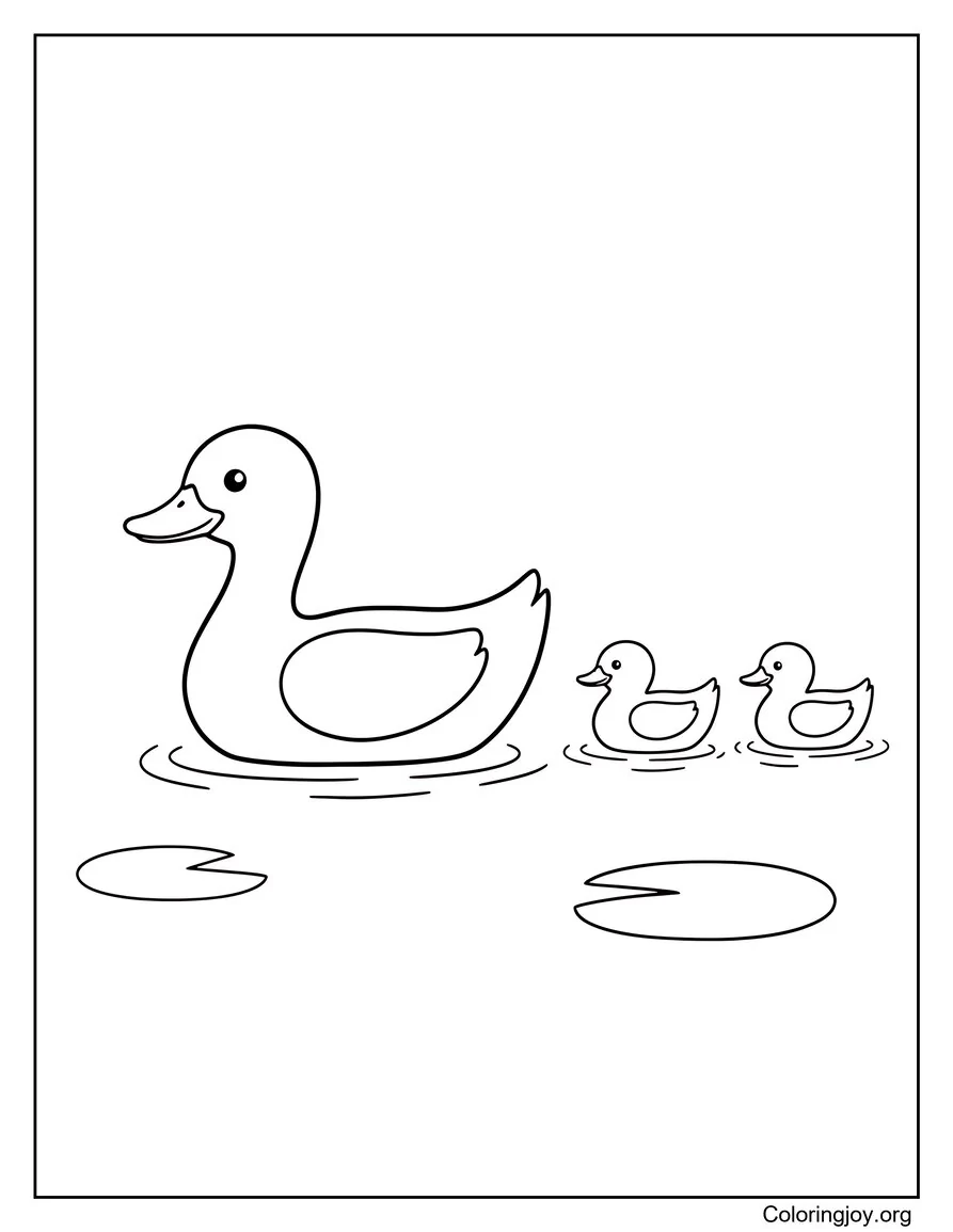 Ducks Floating On Calm Pond