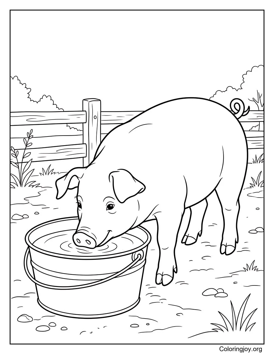 Bebiendo agua de una escena de cerdo balde