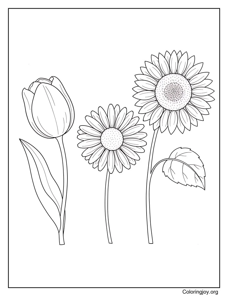 Página para colorear del jardín de flores de primavera