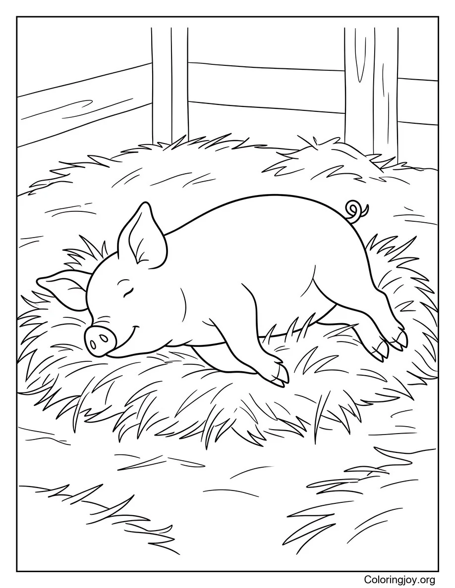 Relajarse en Hay Cute Pig Sheet