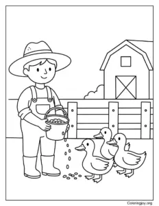 Farmer Feeding Ducks