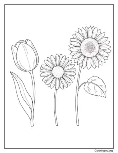 Spring Flower Garden Coloring Page