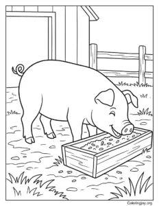 Eating from a Food Trough Farm Pig Printable