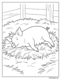 Relaxing in Hay Cute Pig Sheet