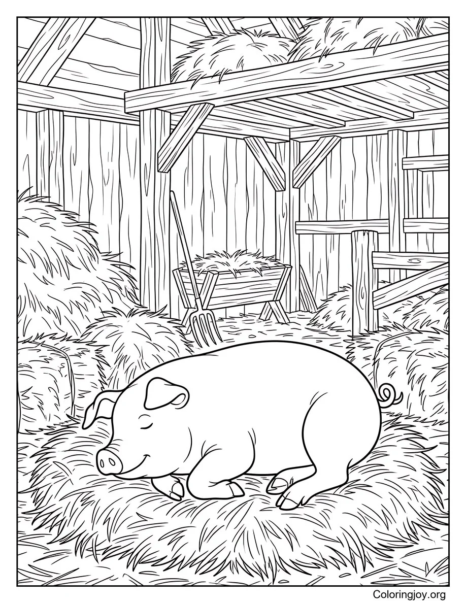Resting in a Straw Barn Pig Page