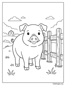 Standing by a Wooden Fence Pig Scene