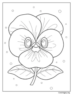 Spring Pansy Flower Coloring Page