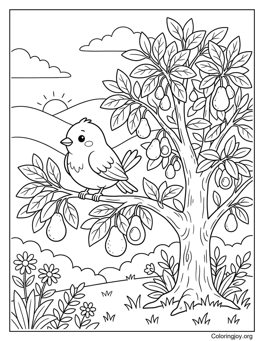 Bird Sitting Near Avocado Tree Coloring Sheet