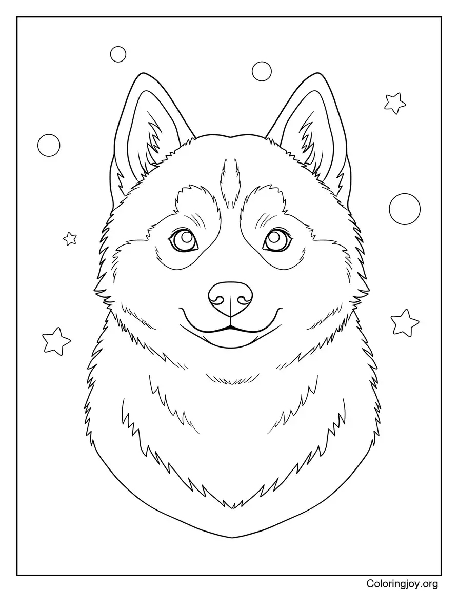 Cute Siberian husky with fluffy and gentle look
