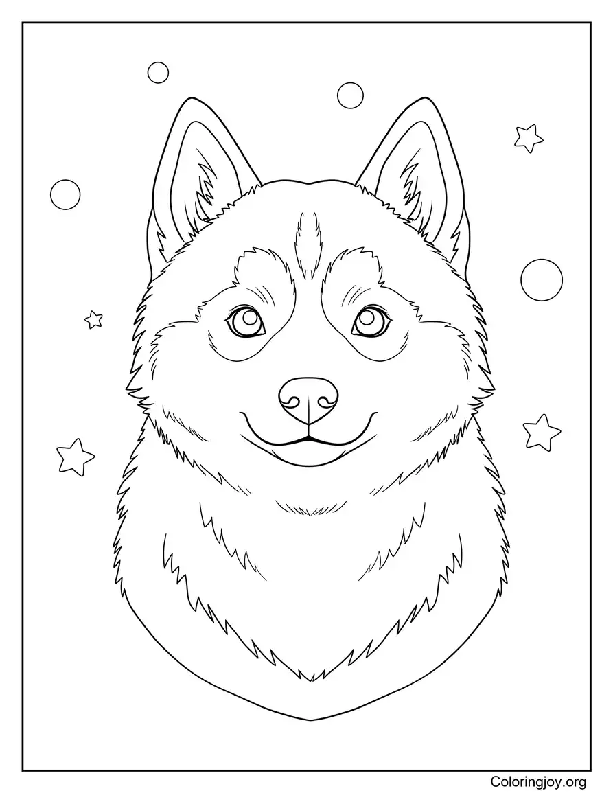 Cute Siberian husky with fluffy and gentle look