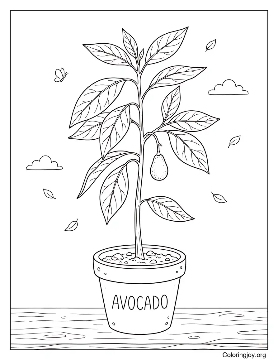 Imagen de planta de aguacate en maceta pequeña para colorear