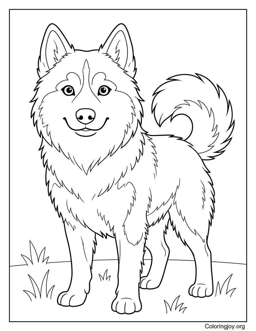 Husky dog sketch ideas in simple outlines
