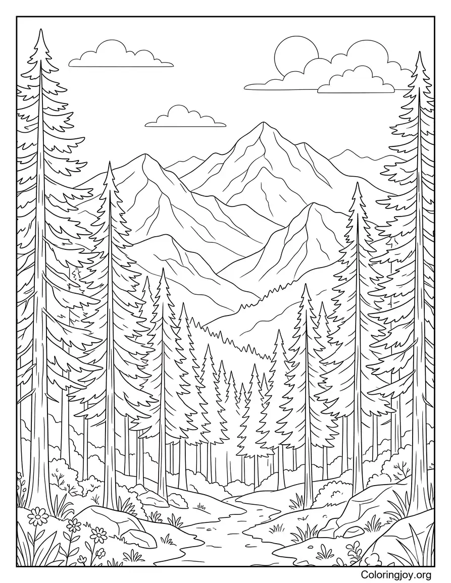 Mountain Forest With Tall Trees